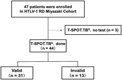 Antiviral immune response against HTLV-1 invalidates T-SPOT.TB® results in patients with HTLV-1-positive rheumatic diseases